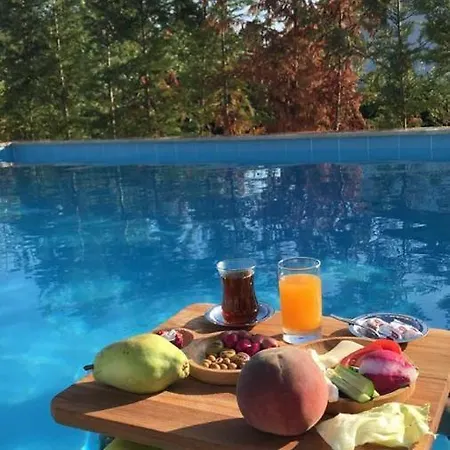 Hayal Villa Sapanca