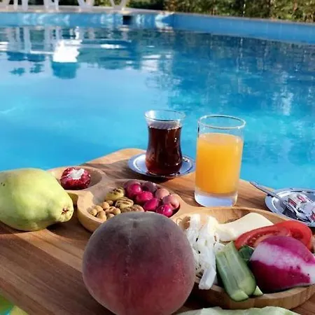 Hayal Villa Sapanca